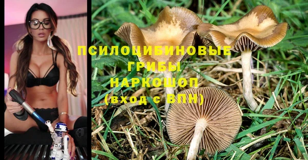 ECSTASY Армянск