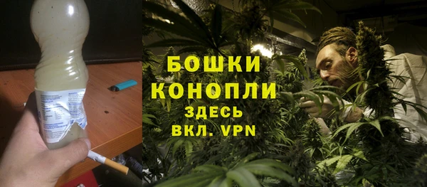 ECSTASY Армянск