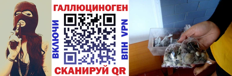 Галлюциногенные грибы Cubensis Купить Сибай